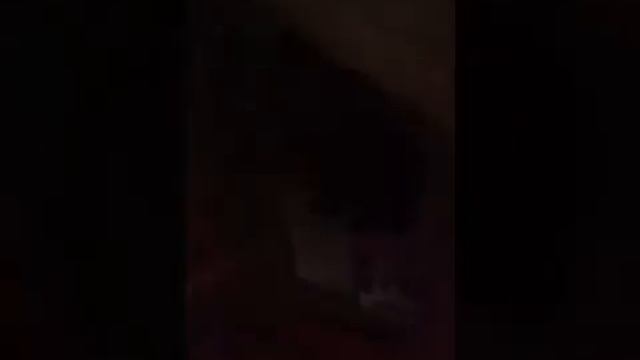 Кароче говоря на меня написал кот. 1 часть смотреть онлайн