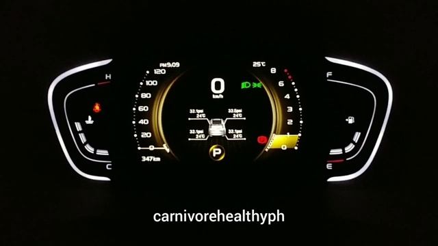 2020 Geely Coolray Instrument Panel смотреть онлайн
