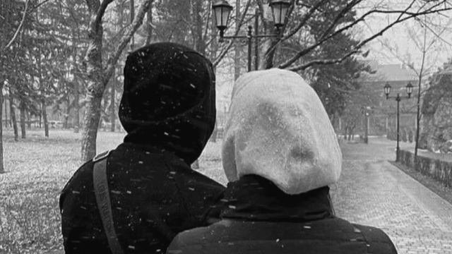 Леци со безамо?- Шамиль Дидигов?? #рекомендации #чеченскаямузыка #гитара #шамильдидигов
