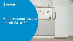 Морозильная камера Indesit  IDU 0150 - обзор модели