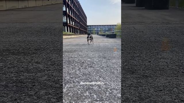 СМОТРИ И СМЕЙСЯ смотреть онлайн