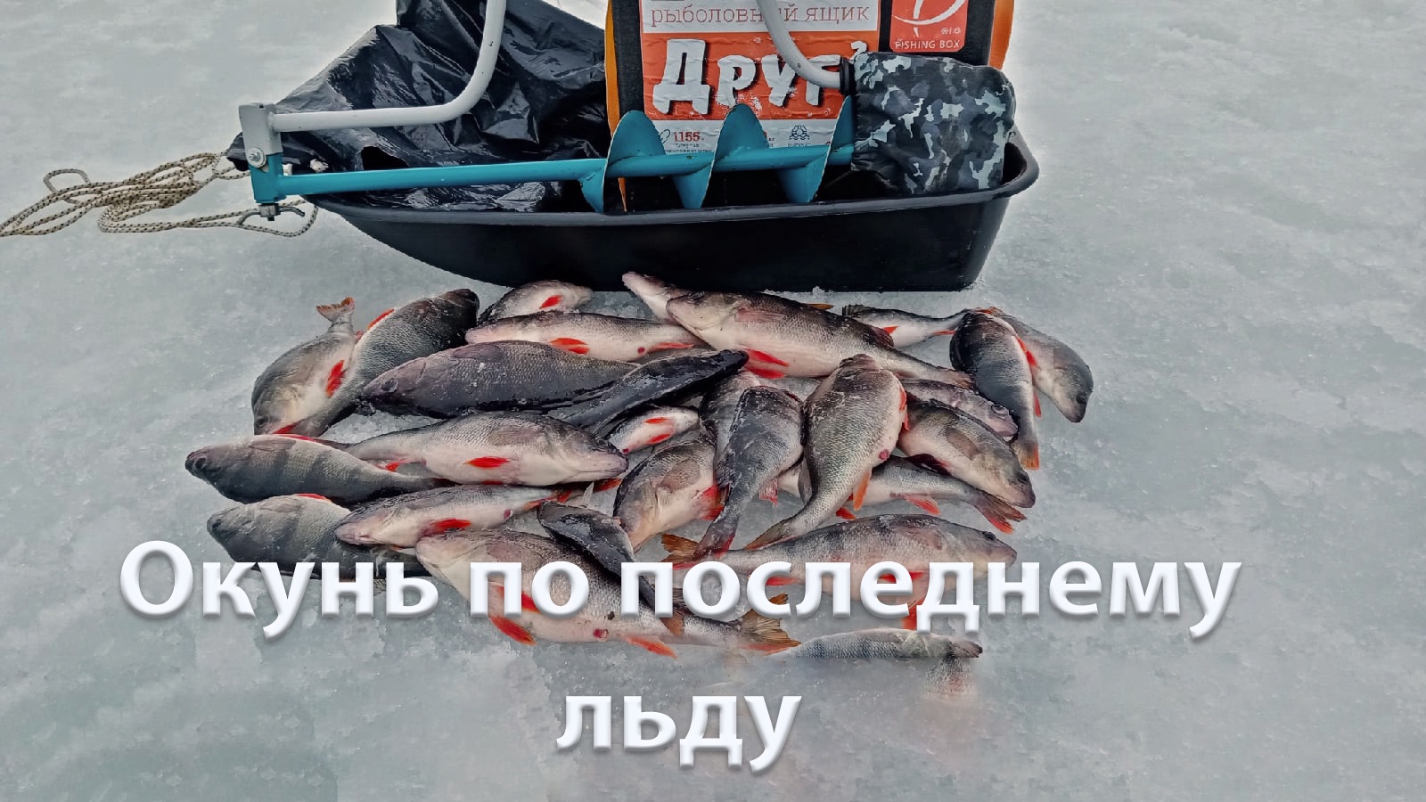 ОГРОМНЫЕ АРБУЗЫ НА БАЛАНСИР | ЛОВЛЯ ОКУНЯ НА БАЛАНСИР | РЫБАЛКА НА ВОЛГЕ . смотреть онлайн