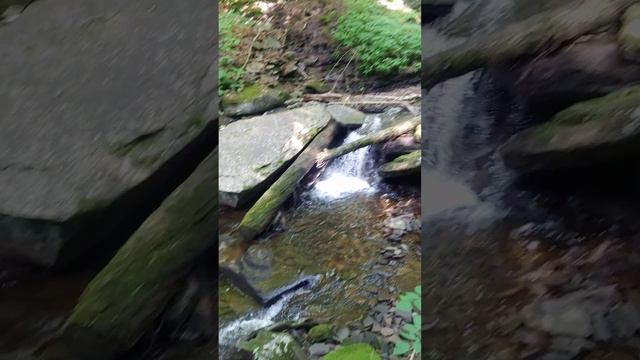 Rickett's Glen Falls Trail, Benton, PA 9/10/22