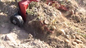 Синтай 220 + картофелекопалка DK-2F