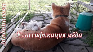 Классификация меда
