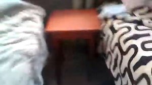 Тимми не хочет сниматься в видео он грустный