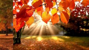 Унылая пора, очей очарованье