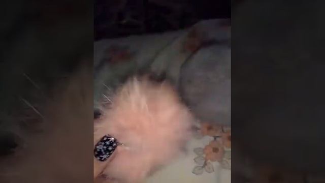 Брелок для телефона, AliExpress из натурального кролика смотреть онлайн