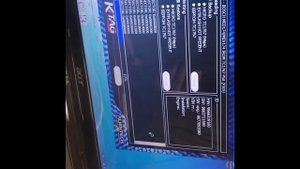 Ситроени С4 удаление катализатора  и перепрошиваем под Е2