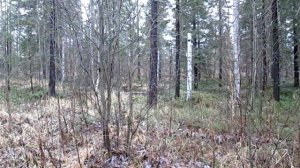 Иду к Метеоритному озеру.avi