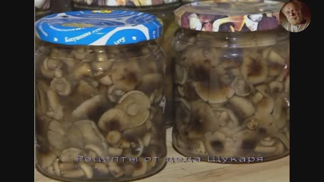 Маринованные опята на зиму от деда Щукаря смотреть онлайн