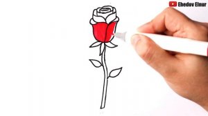 Как нарисовать Розу | Уроки рисования | Роза рисунок