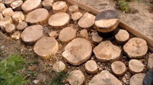 Идея малого бизнеса: Производство дорожек из спилов дерева