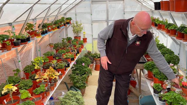 Annual Show News but Cold Weather is hampering Plant growth. смотреть онлайн