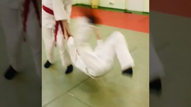 Айкидо для детей и подростков в Обручевском районе.
