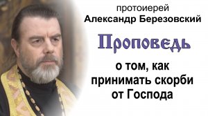 Проповедь о том, как принимать скорби от Господа (2023.10.06). Протоиерей Александр Березовский