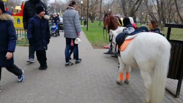 парк Федора Полетаева смотреть онлайн