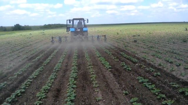 Междурядная оброботка почвы смотреть онлайн