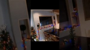 КАК ОТДЫХАЮТ ДАЛЬНОБОЙЩИКИ В США