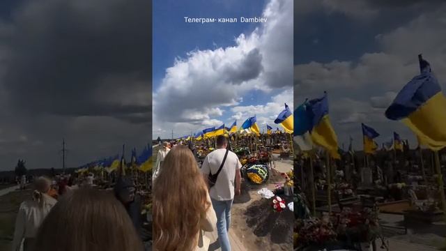 Кривой Рог,кладбище ВСУ