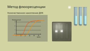 ПЦР-диагностика (Полимеразная цепная реакция)