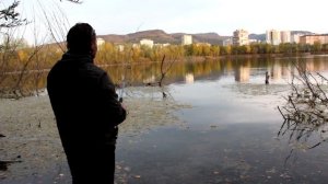 Токио риг в жёстком коряжнике. Неудачная попытка "засадить" оснастку/Tokyo rig in hard snags.