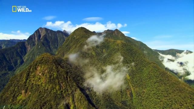 Дикая природа Индонезии (1). Потерянные миры Папуа #Познавательный #Природа #Животные (2014) смотреть онлайн