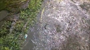 Очищаем место лова от травы