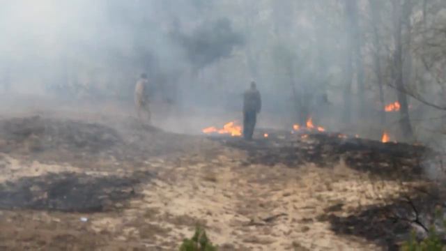 Пожежа на території спеціального комбінату “Чорнобильська пуща” смотреть онлайн