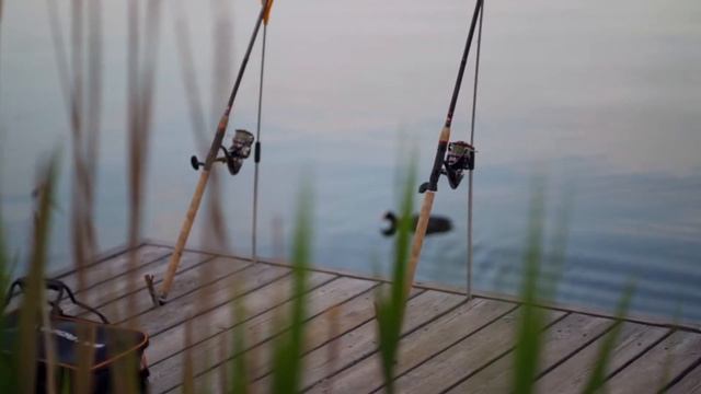 К чему снится Рыба? Сонник Миллера. Сонник Толкование Снов смотреть онлайн