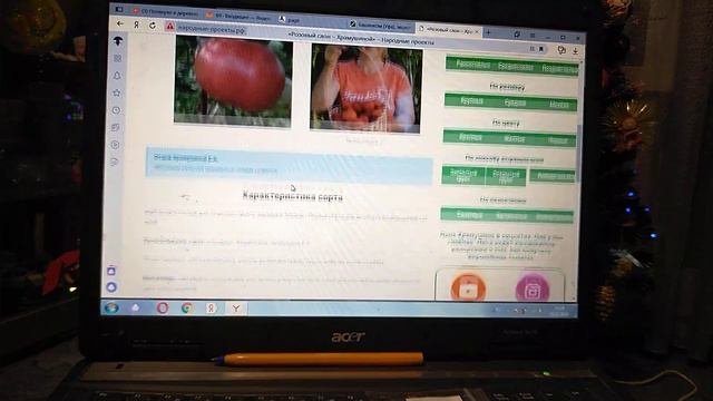 Обзор семян томатов для закрытого грунта.Часть 1.БашИнком. #помидоры, #томаты,#всесамисвоимируками.