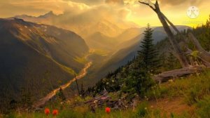 ТҮШ ЖОРУУ, ТҮШ СЫРЛАРЫ. А, Б, Ж, З