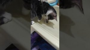 Куда девается вода?