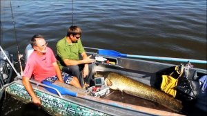 Сом 49 кг на джиг. Рыболовная база Ветлянка.