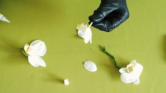 ??? ???’? ????? смотреть онлайн