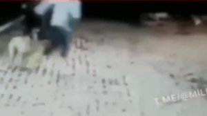 Смешное видео прикольных моментов. Ржака.