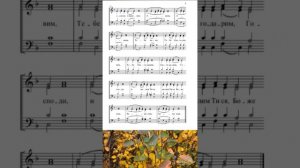 Милость мира (Афонская)