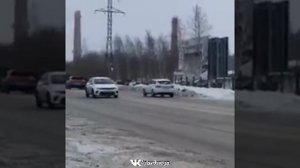 Медведь бежит за человеком в городе