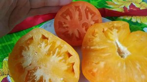 Самые вкусные сорта томатов Сердце Ашхабада,Бычье сердце оранжевое.