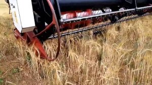 Уборка ячменя ACROS 535 и VECTOR 410