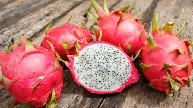 Как выращивать драконий фрукт в домашних условиях смотреть онлайн