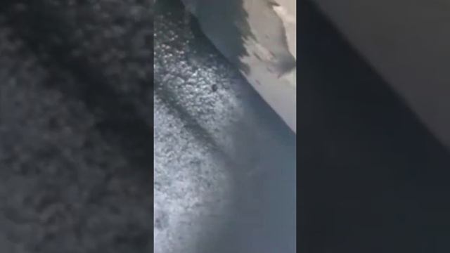 Пежо царь зверей обделался в сервисе... 🤦♂️😅 смотреть онлайн