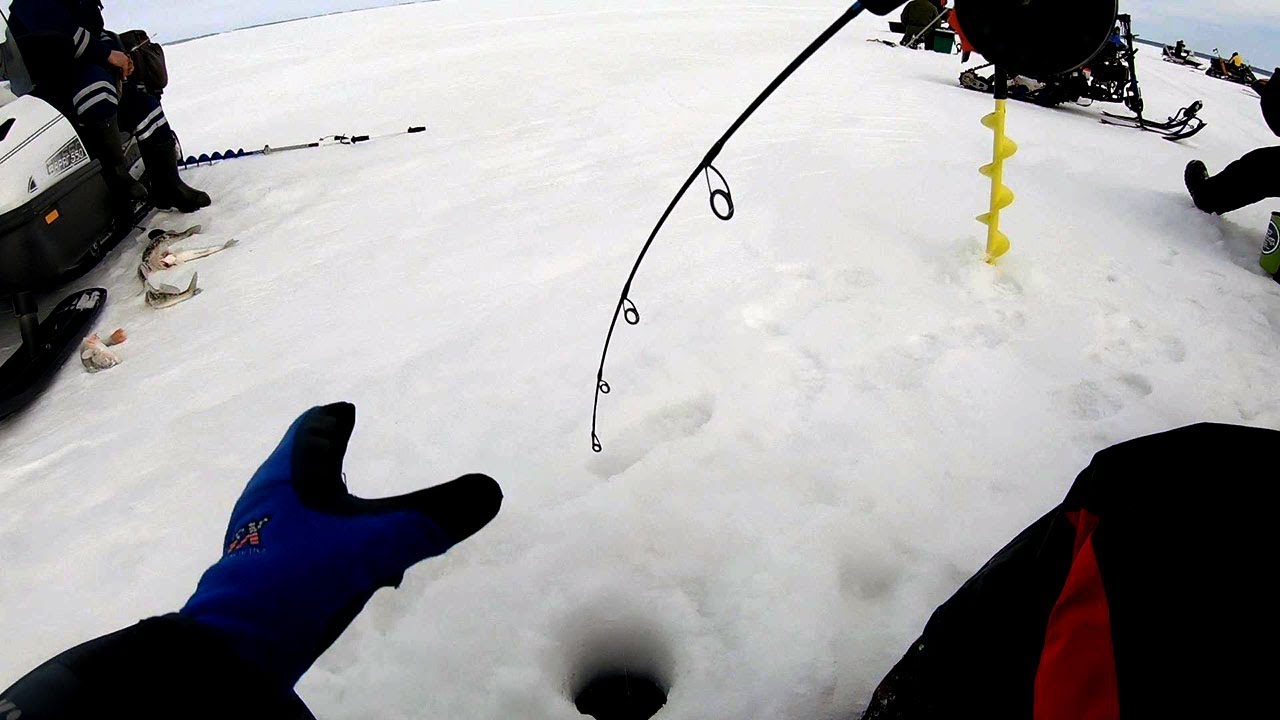 ХАПОК на закрытие сезона!!! Ловим СУДАКА на блесны и вибы _ Обское водохранилище раздает смотреть онлайн