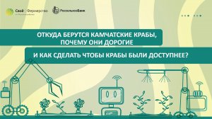 Откуда берутся камчатские крабы, почему они дорогие и как сделать чтобы крабы были доступнее