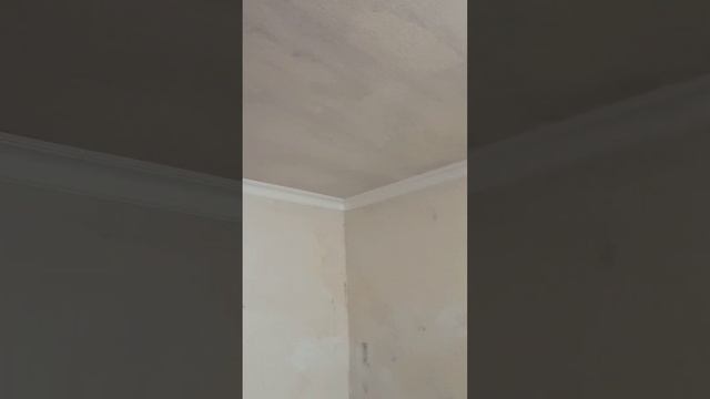 Сколько стоит поклейка обоев на потолок? смотреть онлайн