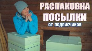 Подарок от подписчиков! УЛЕЙ BIENENHAUS