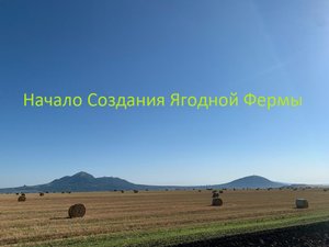 Создание ягодной фермы с нуля.Саратовская область.2021 год.