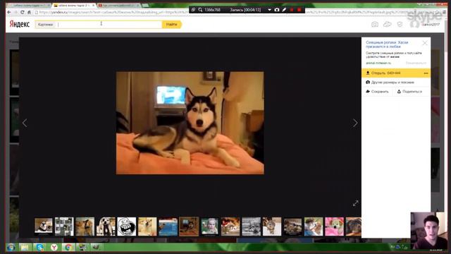 Зачем мы это делаем? "Кривой Художник" смотреть онлайн