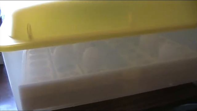 Обзор китайского инкубатора И-48 // Секреты хороших урожаев. смотреть онлайн