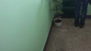 Электрический лифт V=1 м-с, грузоподьемность 400 кг (981)